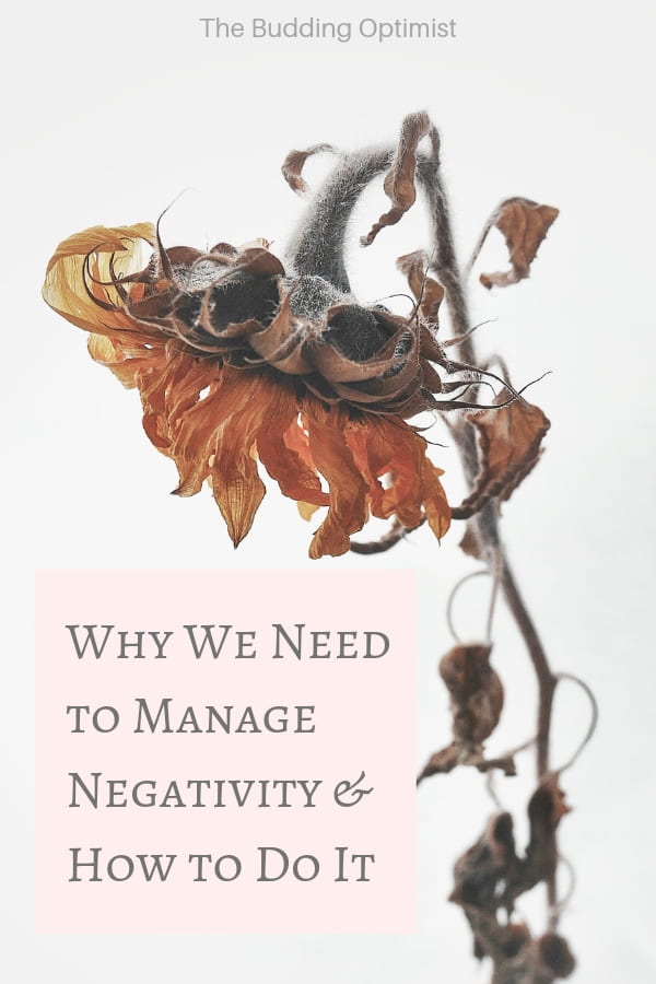 Manage Negativity Pinterest - dying flower