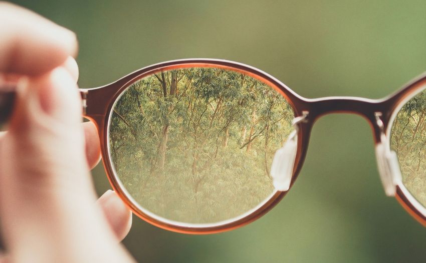 a picture of trees in a pair of eye glasses
