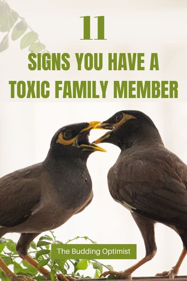 Signs toxic family Toxic Family